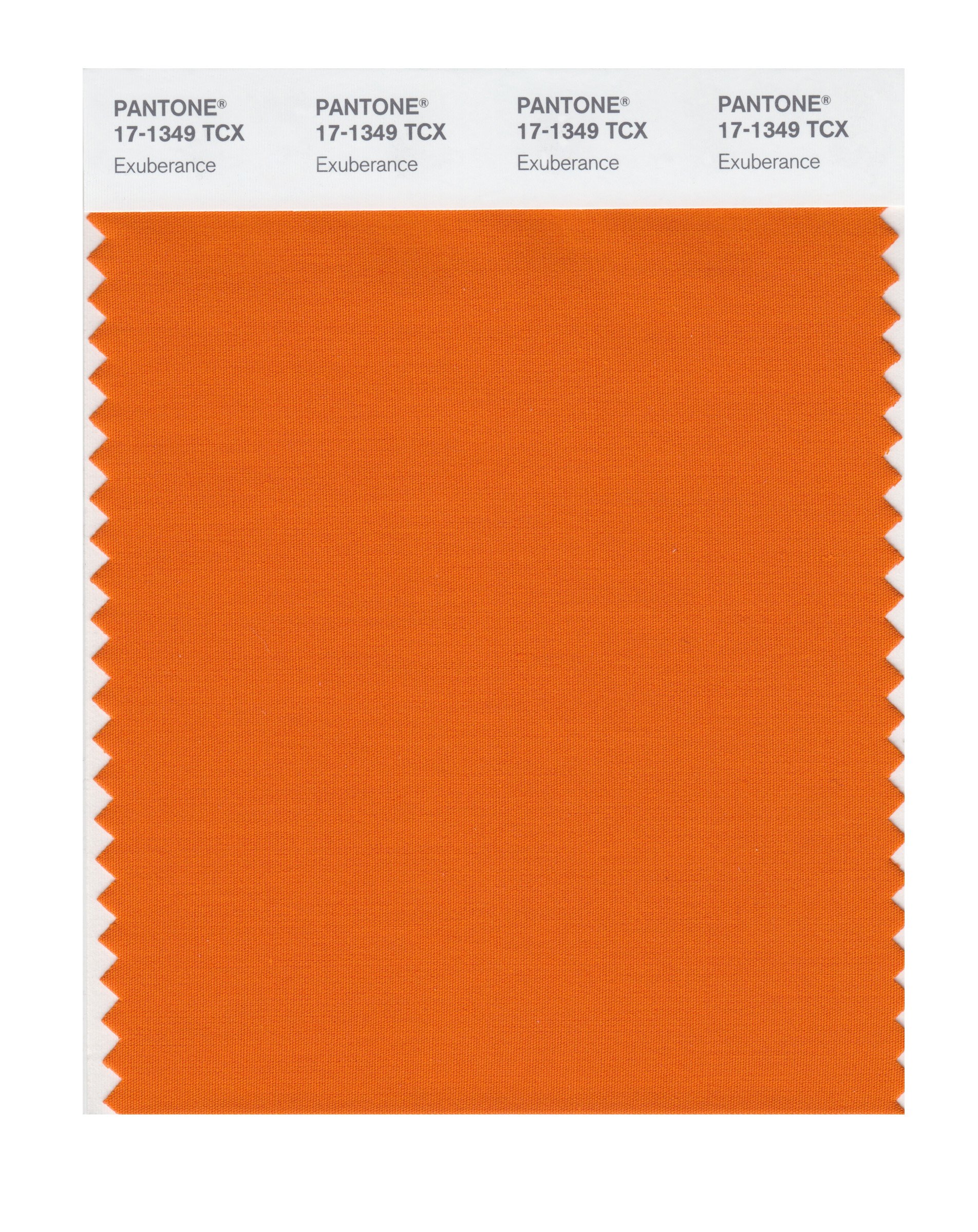 その他 PANTONE for fashion and  COLOR CARD Pantone Smart 17-1755 TCX Color Swatch Card | Paradise Pink